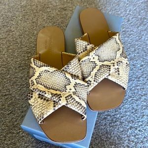 Everlane Crossover snake sandals, gently used!